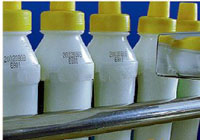 ���������Ч��ͼ